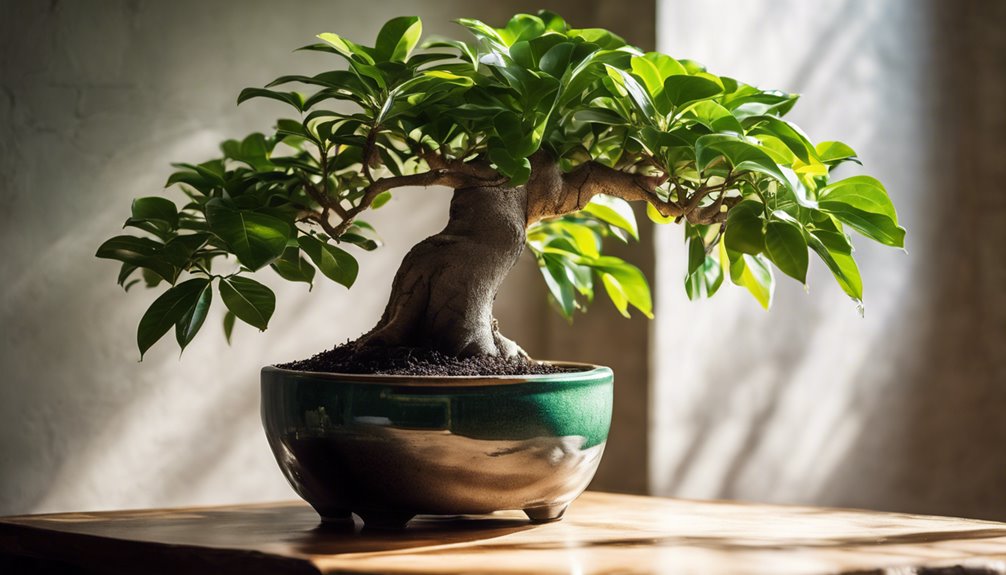 odpowiednia gleba bonsai