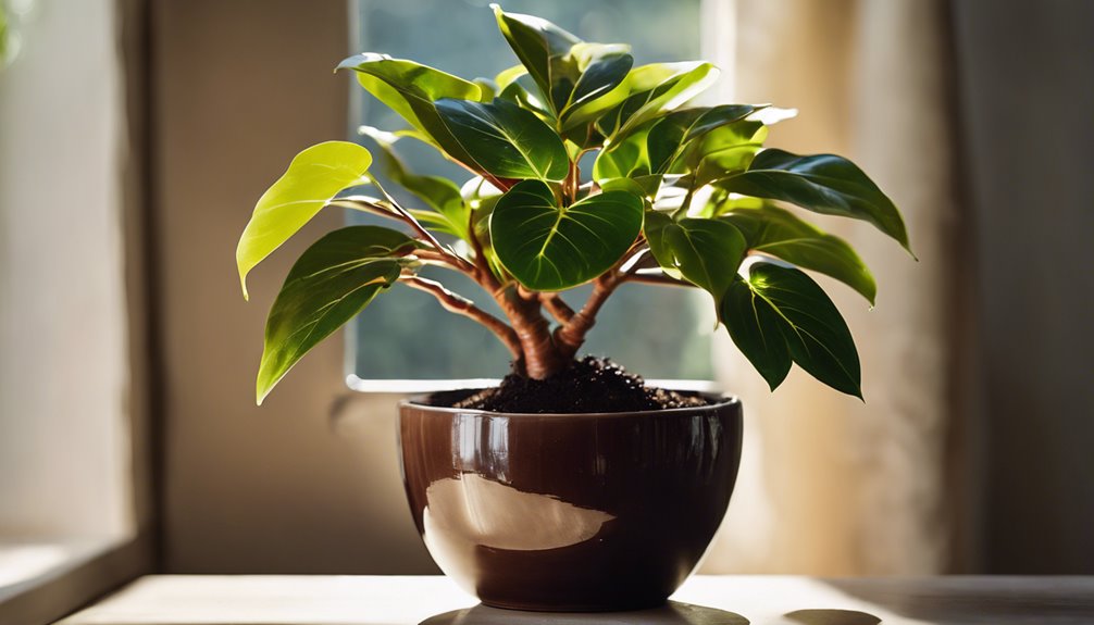 wybierz dobrze przepuszczaln gleb